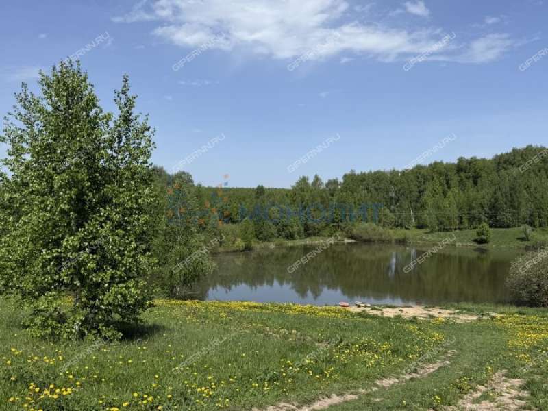 дом на улице Березовая деревня Подъяблонное
