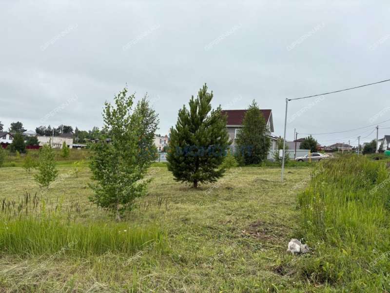 земельный участок 10 соток Ясная улица село Ефимьево