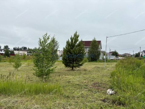 selo-efimevo-bogorodskiy-municipalnyy-okrug фото