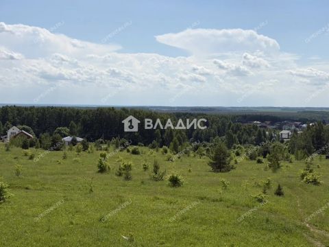 derevnya-kp-russkaya-bogorodskiy-municipalnyy-okrug фото